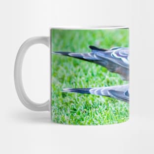 Pair of Crested Pigeons Mug